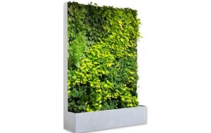 art aqua grüne Wand beidseitig oder einseitig ördern das Wohlbefinden der Menschen; ein Stück Natur im Innenraum, für ein verbessertes Raumklima